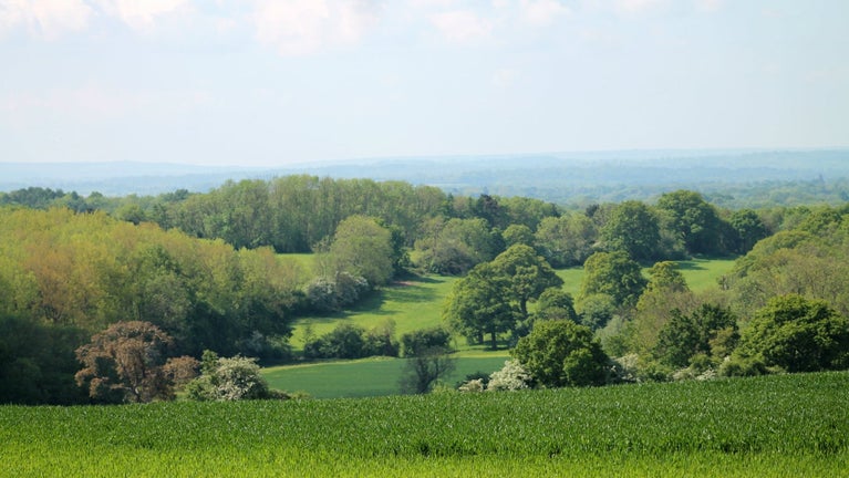 View from Scathes Wood on the National Trust Ightham Mote estate in Surrey